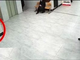 درگیری مادر قمی و یک روحانی؛ قانون درباره جرم آنها چه می‌گوید؟