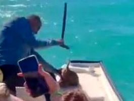 تشکیل پرونده قضایی علیه فرد حیوان‌آزار در گناوه بوشهر/ ویدئو دلخراش